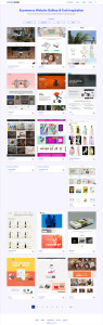 Ecommerce Website Deesign