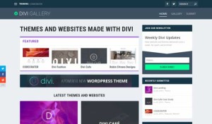 Divi Gallery