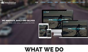 doodleblue Innovations