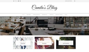 Camila – WordPress Blog Theme
