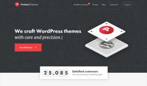 WordPress Themes for Real Businesses – ProteusThemes