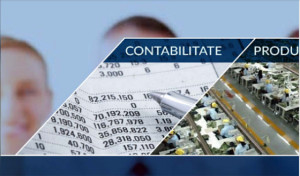 Consultanta Software Solutii Managementul Afacerii