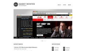 Danny Montes Portfolio