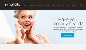Simplicity – eCommerce WordPress Theme, Responsive