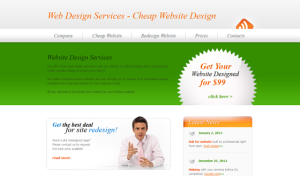 Web Design Services