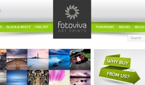 Fotoviva Art Prints