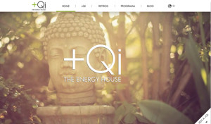 +Qi · The Energy House