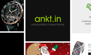 Online Portfolio – Anees Thanikal