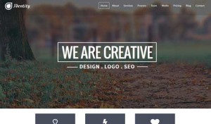 Identity – Multi-Purpose One Page WordPress Theme