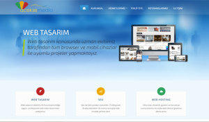 Acekse Media