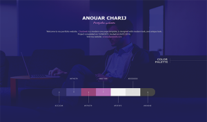 ANOUAR CHARIJ | UX/UI Designer And Web Developer